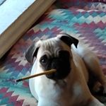 Christopher Hinkle - @christopherhinkle41900 - Instagram