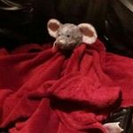Christopher Hirsch - @soproted - Instagram