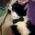 Christopher Hobson - @chris.hobson.9277 - Instagram