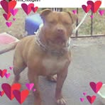 Christopher Hodges - Facebook