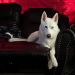Christopher Hoffert - @christopherhoffert73 - Instagram