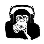 Christopher Hofmann - @ch_monkey - Instagram