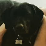 @christopher.hostetler - Instagram