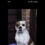 Christopher Howarth - @christopher.howarth.140 - Instagram