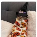 Christopher Howarth - @chowarth42069 - Instagram