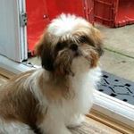Christopher Howarth - @howarthchristopher - Instagram