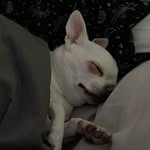 Christopher Hsu - @chrishsu2011 - Instagram