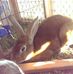 Chris Hunter - Facebook