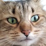 Christopher Hyatt - @hyatt_christopher - Instagram