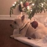 Christopher Hyatt - @hyatt.christopher - Instagram
