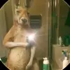 Christopher Infante - @christopher.infan16 - TikTok