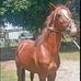Christopher Infante - Facebook