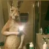 Christopher Infante - @christopher.infan3 - TikTok