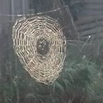 Christopher Ireland - @chrisireland75 - Instagram