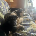 Christopher Irish - @christopher.irish.96 - Instagram