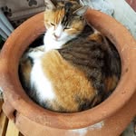 Christopher Jacobson - @chrissypoo_420 - Instagram