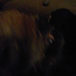 Christopher Janis - @christopher_janis1 - Instagram
