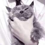 Peter62 - @christopherjefferson335154 - Instagram