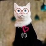 Thomas2 - @christopherjefferson33515460 - Instagram