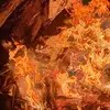 Christopher Johnson - @christopher.johns3924 - TikTok