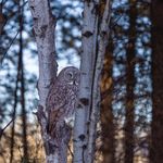 Christopher Johnson - @backwood_photographer - Instagram