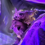 Christopher Karlsen - @christopher_karlsen - Instagram