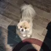 Kate - @katechristopher0 - TikTok