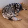 Christopher Kautz - @christopher.kautz4 - TikTok