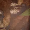 christopherkeech4 - @christopher.keech - TikTok