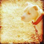 Christopher Kimbrough - @christopher.kimbrough.1422 - Instagram