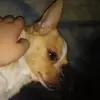christopher - @king.christopher - TikTok