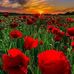 Stefano Christopher Giuseppe - Facebook