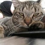 Christopher Klemmensen - @christopherklemmensen - Instagram