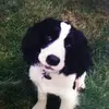 christopherneedler - @christopherneedler - TikTok