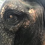 Christopher Koerber - @christopherkoerber - Instagram