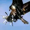 christopherkipkoe - @christopherkipkoechlagat - TikTok