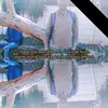 christopherkok4 - @christopherkok4 - TikTok