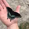 christopherkolb96 - @christopherkolb96 - TikTok