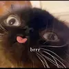 Kristopher Kunzelman - @kristopher.kunzel - TikTok