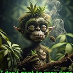 Christopher Koontz - @christopher.koontz.1 - Instagram