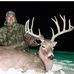 Chris Koonce - Facebook