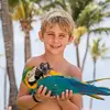 Chris Kopec - @chris_kopec - TikTok