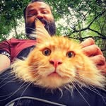 Christopher Koper - @chris_neko_the_cat_wanderer - Instagram