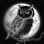 Christopher Koper - Facebook