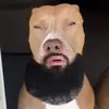 christopherjrkorn - @christopherjrkorn - TikTok