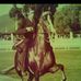 Chris Kotze - Facebook