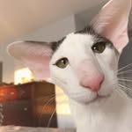 Christopher - @christopher_kotze_ - Instagram