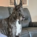 @christopher.kracke - Instagram