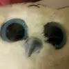 Christopher Kraszewski - @christopherkrasze7 - TikTok