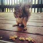 Christopher Kratz - @christopherkratz - Instagram